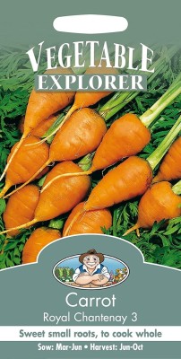 VibeX XII-160-Carrot Royal Chantenay 3 Seed(500 per packet)