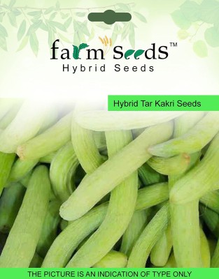 TRICONE Kakdi Seed(30 per packet)