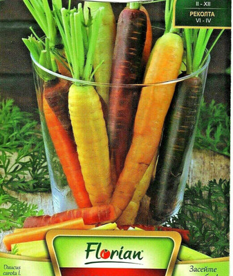 VibeX carrot Seed(150 per packet)