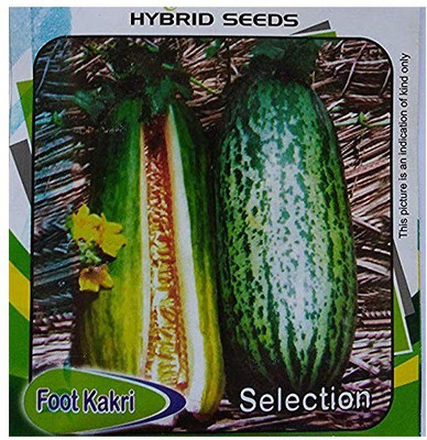 CRGO ® GBPUAT-68-Foot Kakri Seeds Seed(40 per packet)