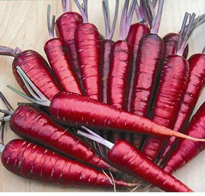 VibeX Carrot Seed(1000 per packet)