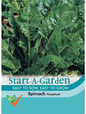 VibeX ® XII-60-Start-A-Garden Vegetable - Spinach Perpetual Seed(50 per packet)