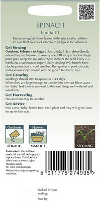 VibeX Spinach Seed(700 per packet)