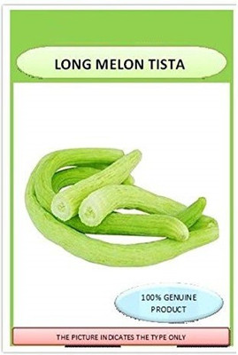 TRICONE Kakdi Seed(10 per packet)