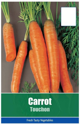 VibeX carrot Seed(25 per packet)