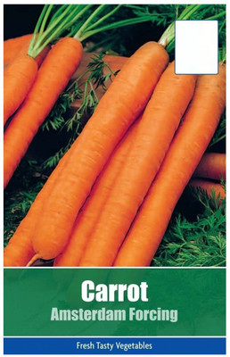 VibeX carrot Seed(2250 per packet)