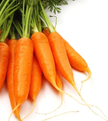 VibeX XII-116-Seeds, Carrot - Royal Chantenay Seed(2500 per packet)