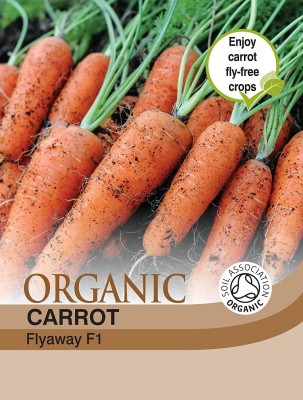 VibeX carrot Seed(2250 per packet)