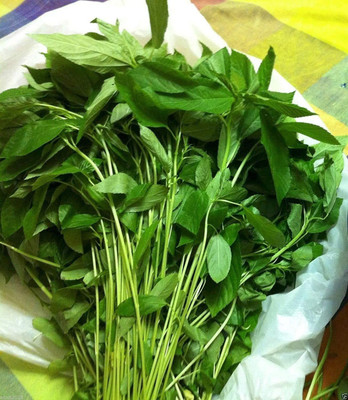 VibeX Spinach Seed(600 per packet)