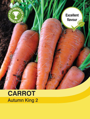VibeX carrot Seed(25 per packet)