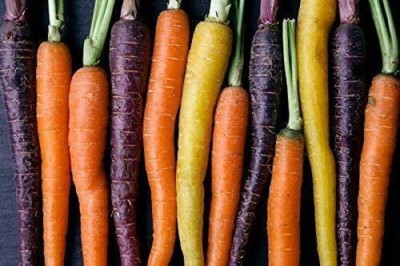 VibeX carrot Seed(1500 per packet)