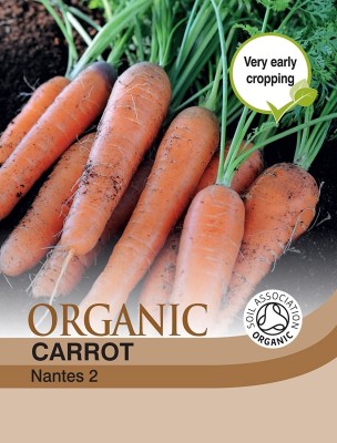 VibeX carrot Seed(300 per packet)