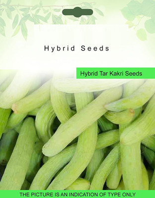 CRGO ™ ICAR-25-Tar Kakri 1 Packet Seeds Seed(100 per packet)