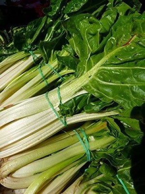 VibeX Swiss Chard Seed(225 per packet)