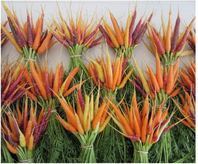 VibeX carrot Seed(300 per packet)