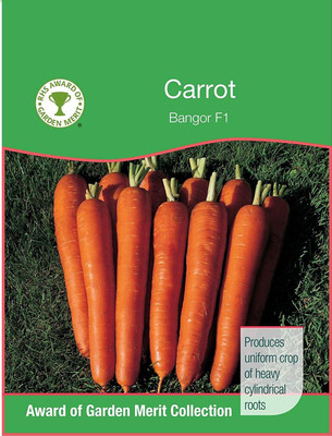 VibeX carrot Seed(2000 per packet)