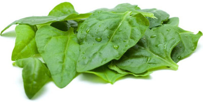 VibeX ™ RDX-721-F-1 New Zealand Spinach Seeds - Tetragonia expansa Seed(1250 per packet)