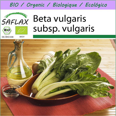 VibeX CBZ-1567-Organic - Swiss Chard - Seeds - Beta vulgaris subsp. vulgaris Seed(700 per packet)