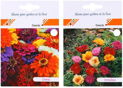 VibeX Zinnia, Portulaca Seed(75 per packet)