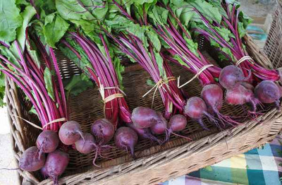 sporos Beetroot Seed(25 per packet)