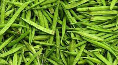 sporos Cluster Beans Seed(25 per packet)