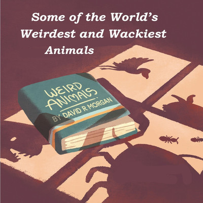 Some of the World's Weirdest and Wackiest Animals(English, Paperback, Morgan David R)
