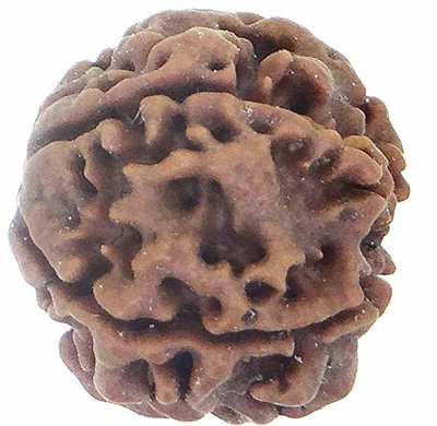 Rudram Brown Rudraksha 4 Mukhi Nepali Rudraksha Certified Faced Rudraksha for Men and Women Wood Pendant