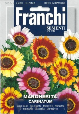 VibeX ® PUSA-254-Franchi Chrysanthemum - Margherita carinatum - Giant daisy Seed(80 per packet)