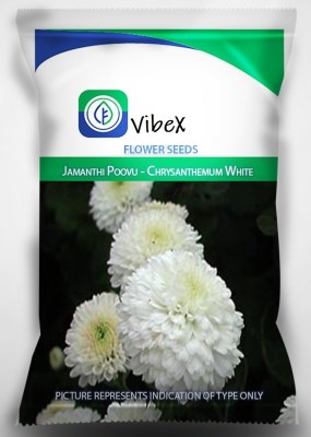 CYBEXIS Flower Seeds For Vertical Garden- Jamanthi Poovu - Chrysanthemum Seed(1 g)