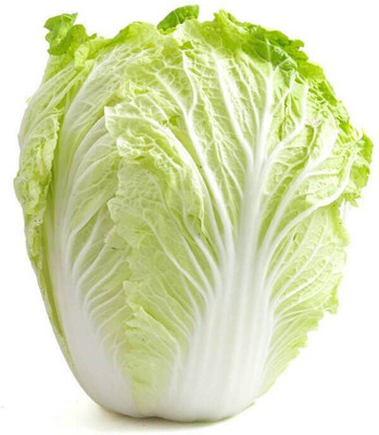 XOLDA Chinese Cabbage Seed(25 per packet)