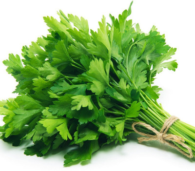 XOLDA Parsley Seed(27 per packet)