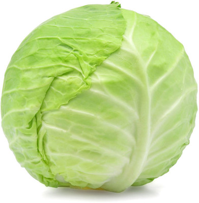 MYLAWN Green Cabbage Seed(50 per packet)