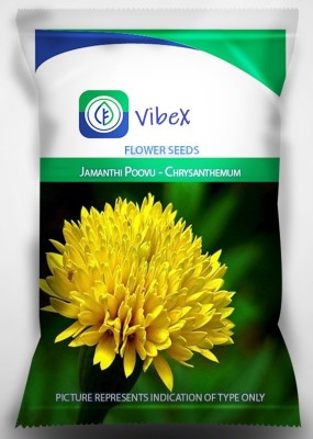 CYBEXIS Chrysanthemum Seed(50 per packet)