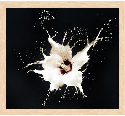 Artzfolio ArtzFolio White Flowers With Milk Splash On Black Background Tabletop Painting Natural Brown Frame 11inch x 10inch (28cms x 25.4cms) Digital Reprint 10.5 inch x 11.5 inch Painting(With Frame)