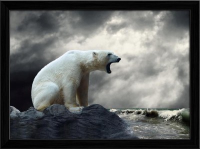 Artzfolio ArtzFolio White Polar Bear Hunter On The Ice In Water Drops D1 Canvas Painting Black Wooden Frame 22inch x 16inch (55.9cms x 40.6cms) Digital Reprint 16.5 inch x 22.5 inch Painting(With Frame)