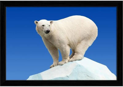 Artzfolio ArtzFolio Polar Bear In Wildness Area Against Blue Sky Tabletop Painting Black Frame 11.5inch x 8inch (29.2cms x 20.3cms) Digital Reprint 8.5 inch x 12 inch Painting(With Frame)