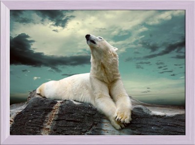 Artzfolio ArtzFolio White Polar Bear Hunte Canvas Painting White Wooden Frame 22inch x 16inch (55.9cms x 40.6cms) Digital Reprint 16.5 inch x 22.5 inch Painting(With Frame)