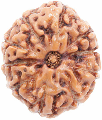 Rudram 10 mukhi rudraksha indonesia java Wood Pendant