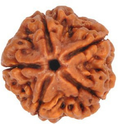 Rudram 5 mukhi NEPALI rudraksha Wood Pendant