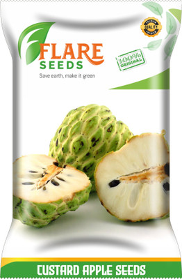 FLARE SEEDS CUSTARD APPLE Seed(20 per packet)