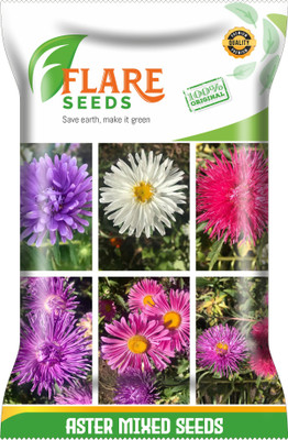 FLARE SEEDS ASTER MIXED Seed(100 per packet)