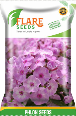 FLARE SEEDS PHLOX Seed(30 per packet)