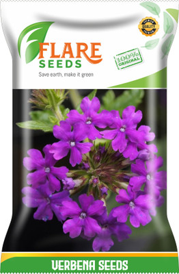 FLARE SEEDS VERBENA MIXED Seed(50 per packet)