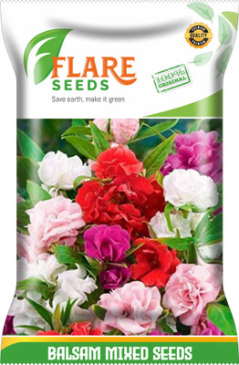 FLARE SEEDS BALSAM MIXED Seed(100 per packet)