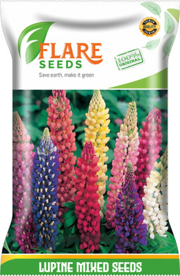 FLARE SEEDS LUPINE MIXED Seed(50 per packet)
