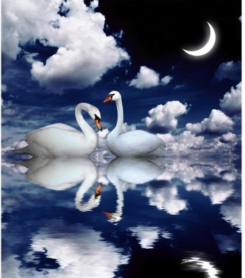 Artzfolio 71.12 cm Image of Two White Swans D1 Peel & Stick Vinyl Wall Sticker 28inch x 32.4inch (71.1cms x 82.3cms) Self Adhesive Sticker(Pack of 1)