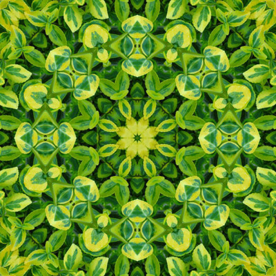 Artzfolio ArtzFolio Green Mandala Flower Unframed Premium Canvas Painting 16inch x 16inch (40.6cms x 40.6cms) Digital Reprint 16.5 inch x 16.5 inch Painting(With Frame)