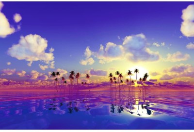 Artzfolio 160.02 cm Coconut Palms At Pink Sunset Over Tropic Sea Peel & Stick Vinyl Wall Sticker 63inch x 42inch (160cms x 106.7cms) Self Adhesive Sticker(Pack of 1)