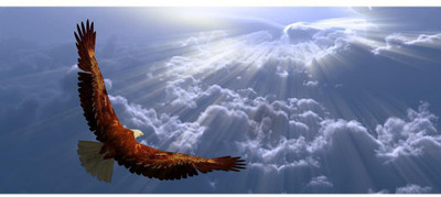 Artzfolio ArtzFolio Eagle In Flight Above Tyhe Clouds D1 Unframed Premium Canvas Painting 37.6inch x 16inch (95.5cms x 40.6cms) Digital Reprint 16.5 inch x 38.1 inch Painting(With Frame)