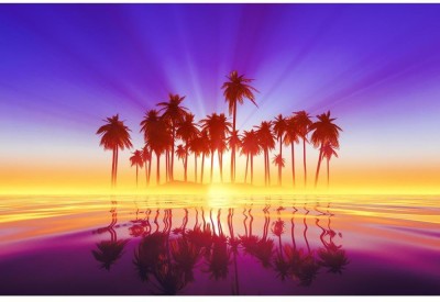 Artzfolio 121.92 cm Sun Rays Inside Coconut Palms Island Peel & Stick Vinyl Wall Sticker 48inch x 32inch (121.9cms x 81.3cms) Self Adhesive Sticker(Pack of 1)